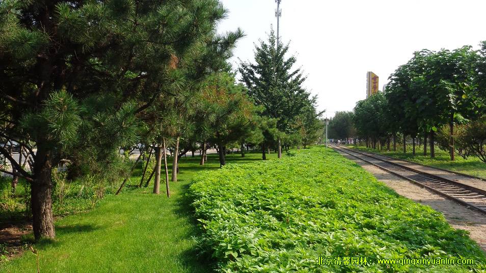 四環路
