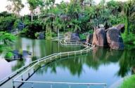 園林經典之作：廈門萬石植物園