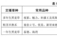 草坪全年度養護計劃