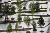 沙丘小公園：營造良好的社區氛圍
