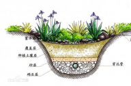 什么是雨水花園？雨水花園和普通花園有什么區別？